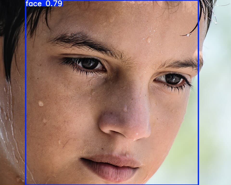 Face Detection (YOLO11n)