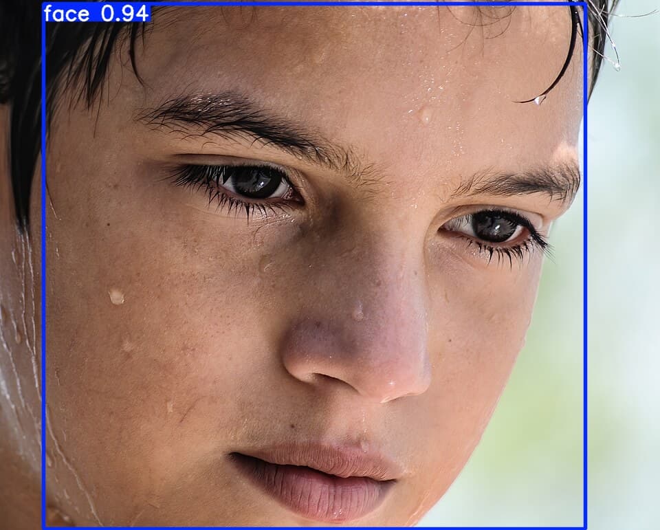 Face Detection (YOLO11x)