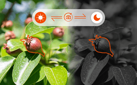 NE101 AI camera monitoring crop growth