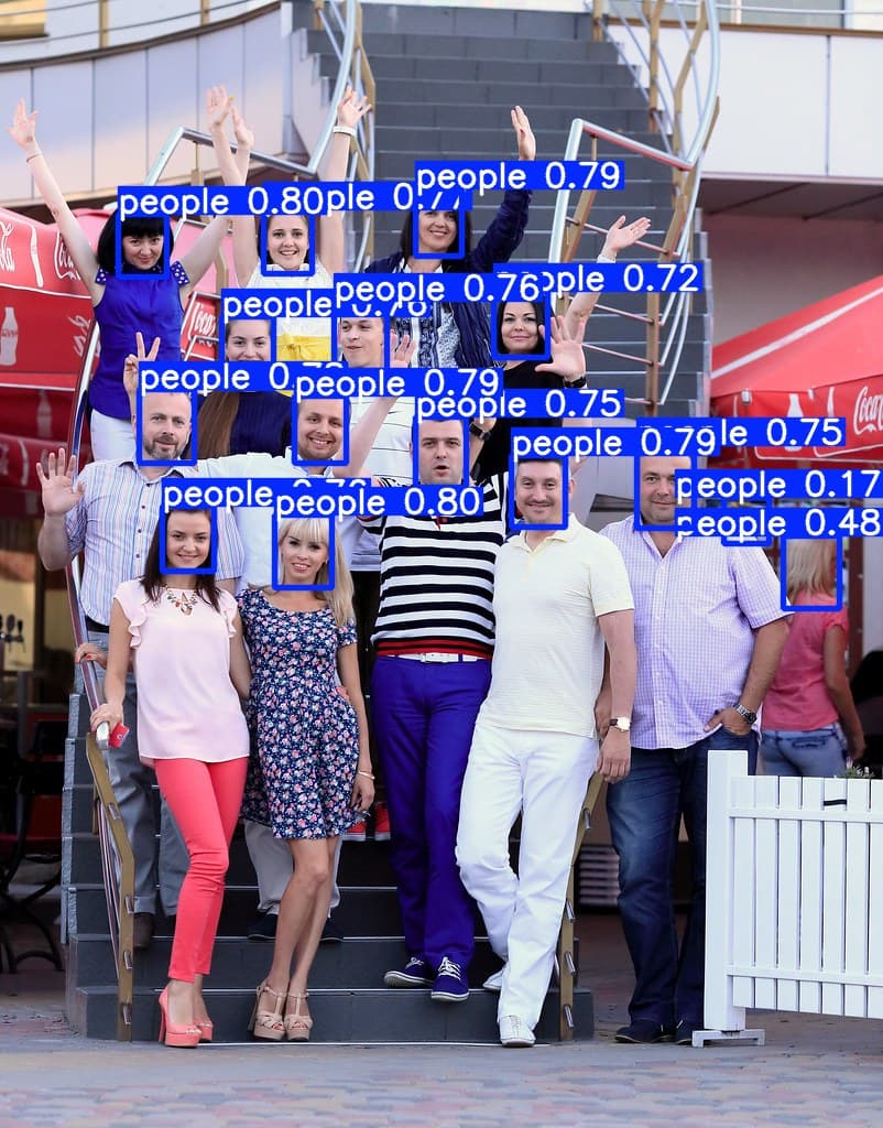 yolov8x-crowd-detector