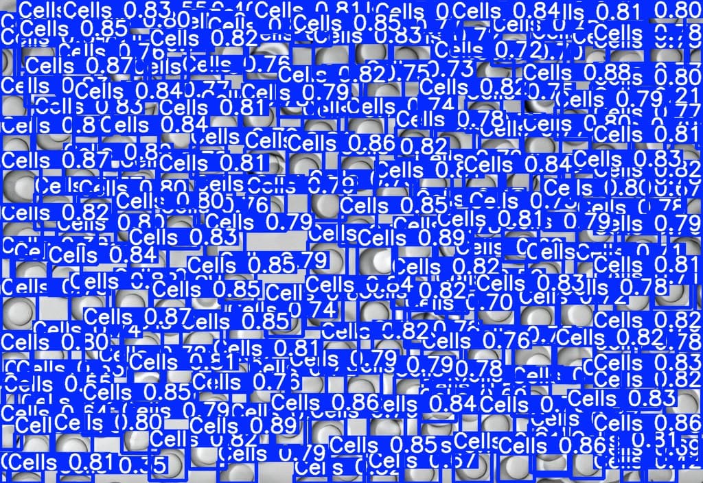cell_yolov8