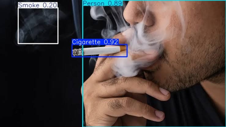 yolov8n-smoking-person