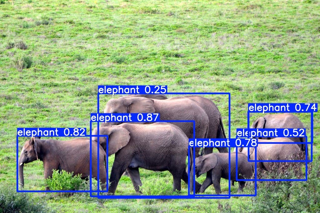 ELEPHANT_DETECTION_YOLOV8_N