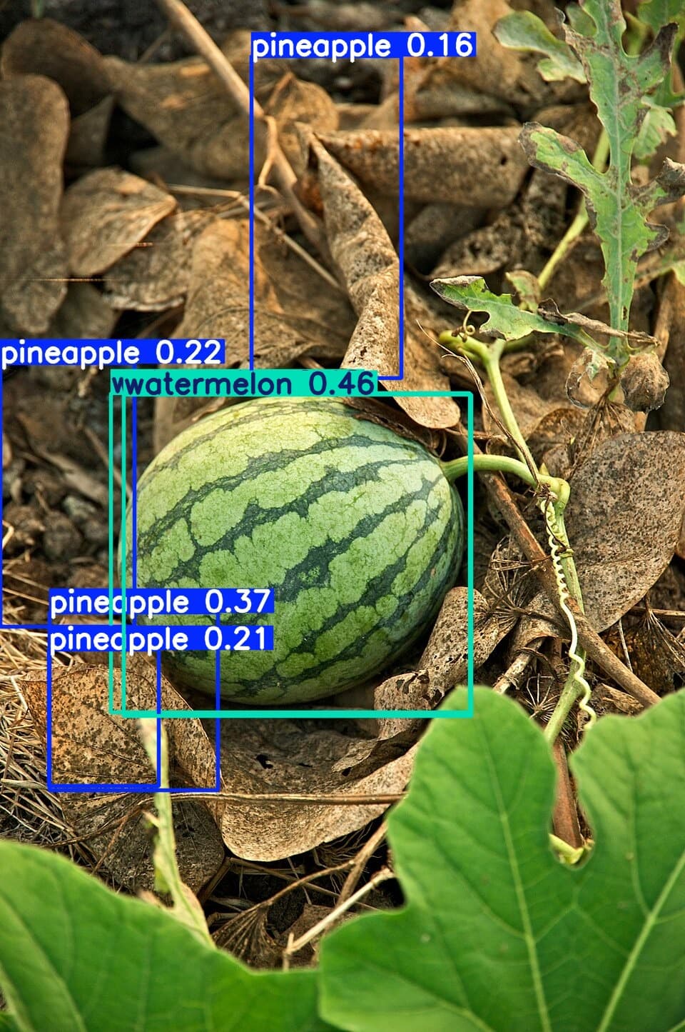 fruitsight-yolov8m