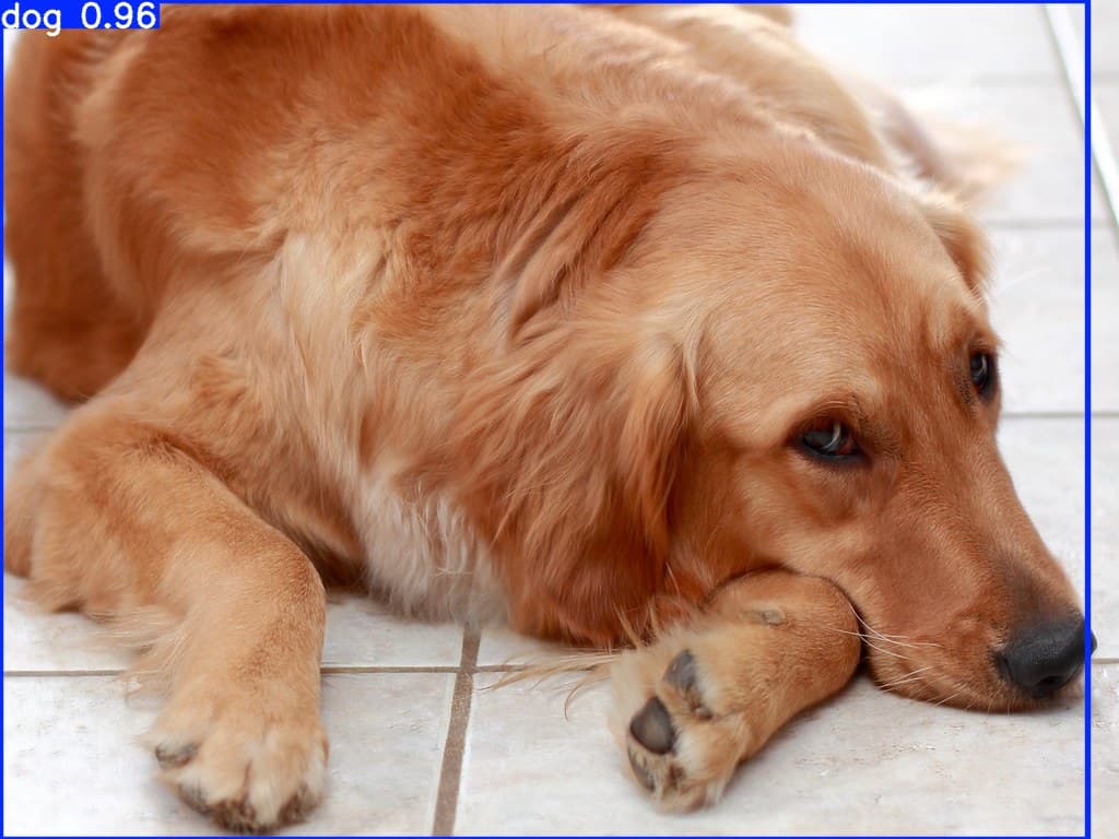 YOLOv8s-dog-detection