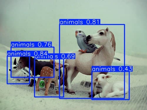 yolov8_animal_human