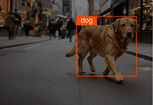Efficient AI at the Edge: NE301 running YOLOv8 at 25 FPS for real-time object detection