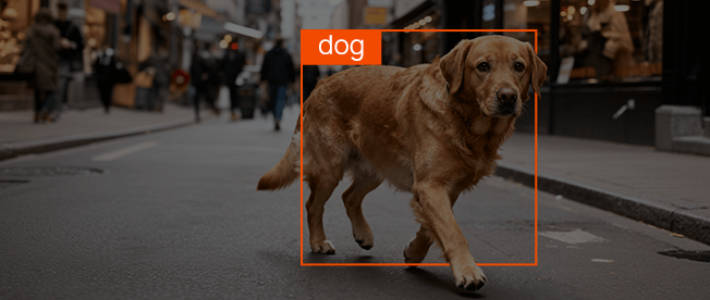 Efficient AI at the Edge: NE301 running YOLOv8 at 25 FPS for real-time object detection